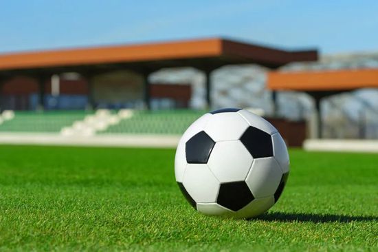 中国老肥熟