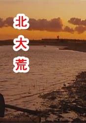 花哨