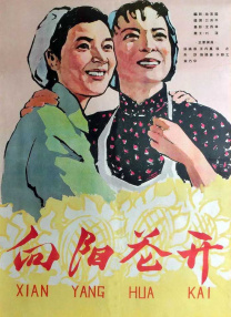 中国大学mooc慕课