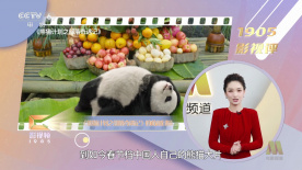 嗮女